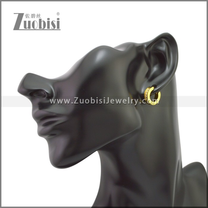 Stainless Steel Earring e002209G