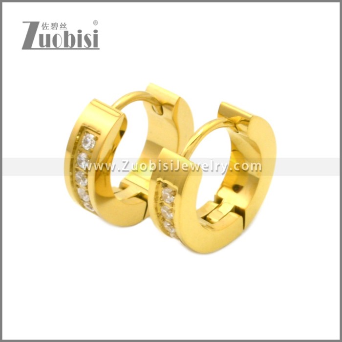 Stainless Steel Earring e002209G