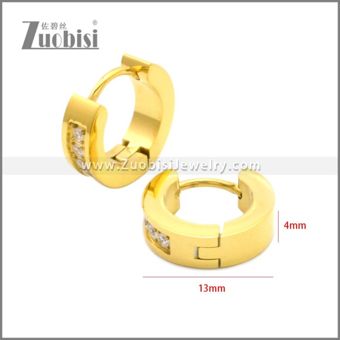 Stainless Steel Earring e002209G