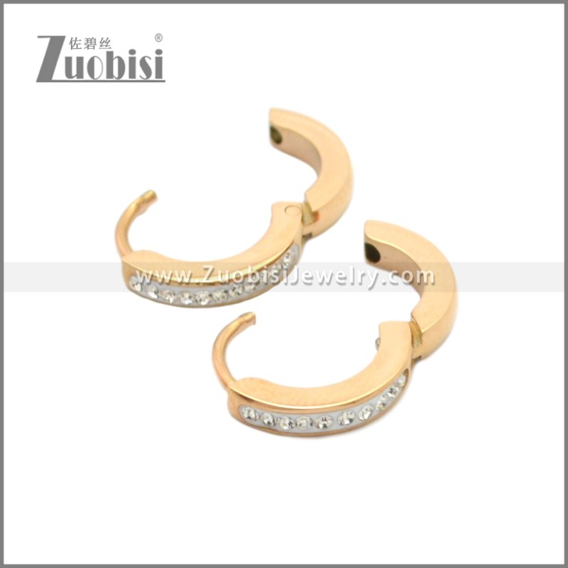 Stainless Steel Earring e002210R