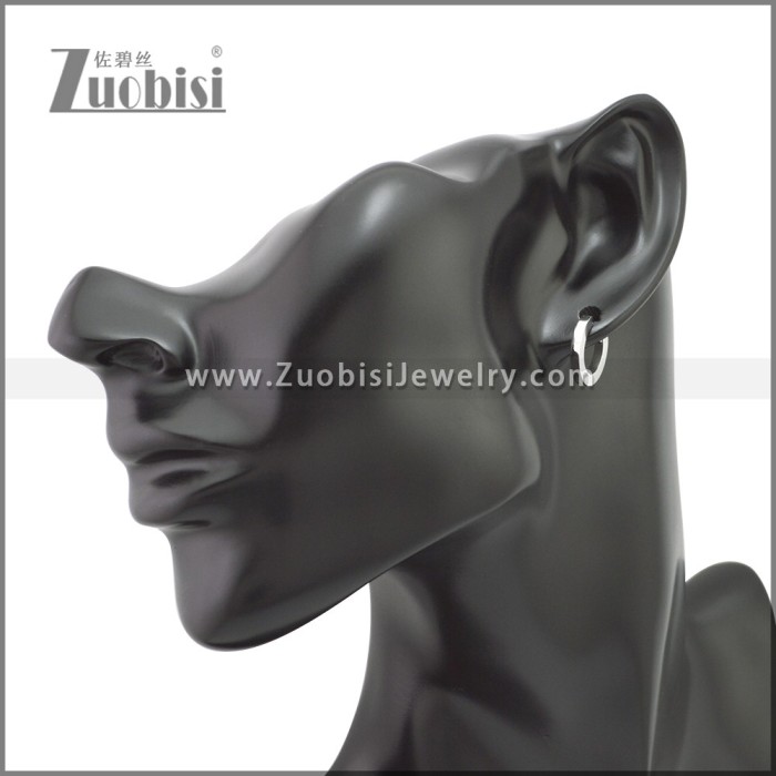 Stainless Steel Earring e002211S