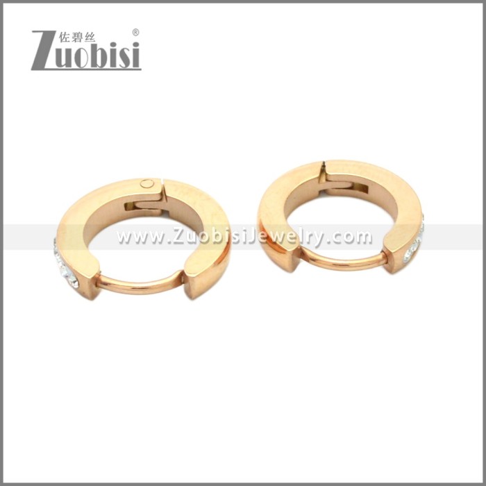 Stainless Steel Earring e002210R