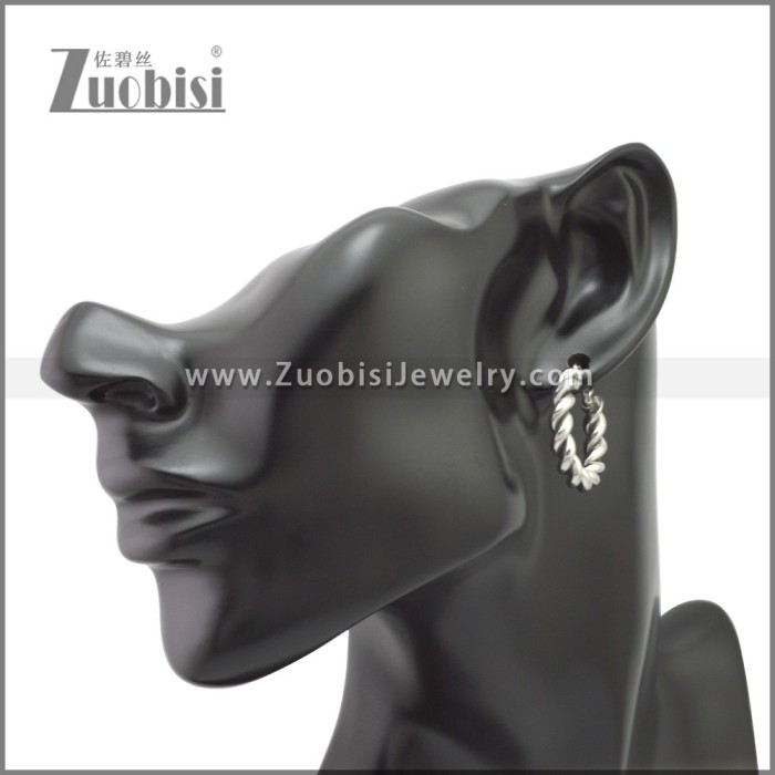 Stainless Steel Earring e002213S