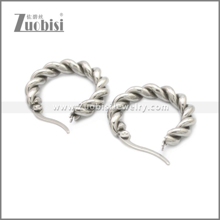 Stainless Steel Earring e002213S