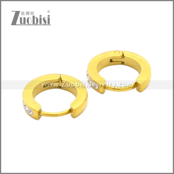 Stainless Steel Earring e002210G