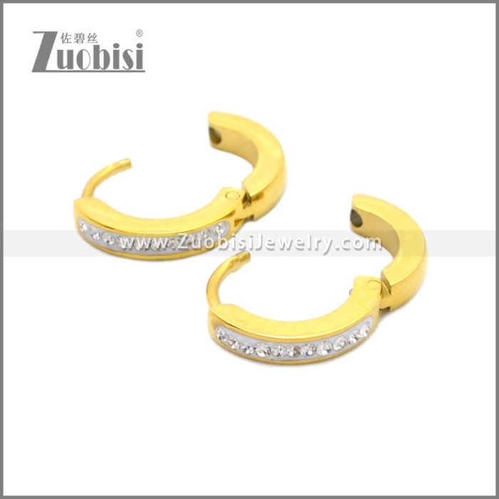 Stainless Steel Earring e002210G