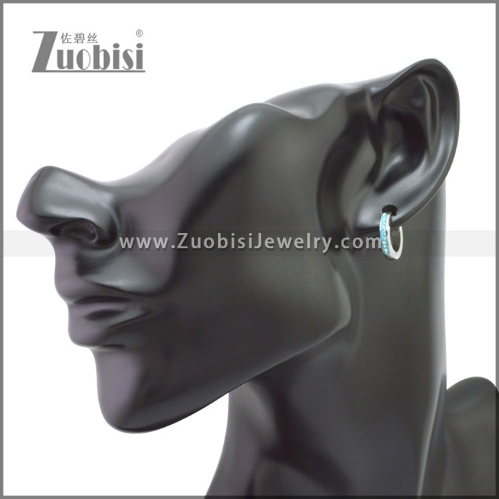 Stainless Steel Earring e002214S4