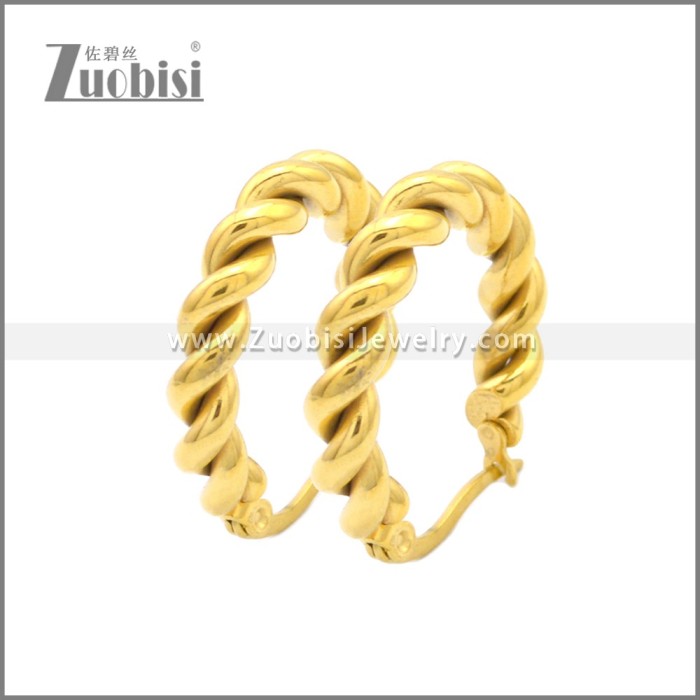 Stainless Steel Earring e002213G