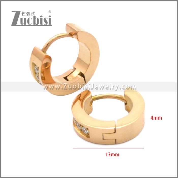 Stainless Steel Earring e002209R