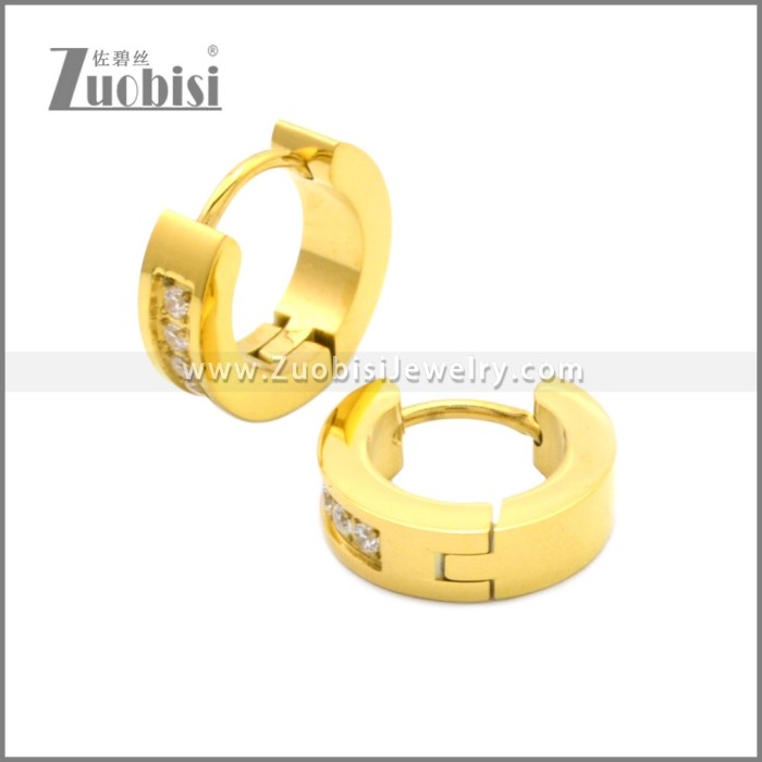 Stainless Steel Earring e002209G