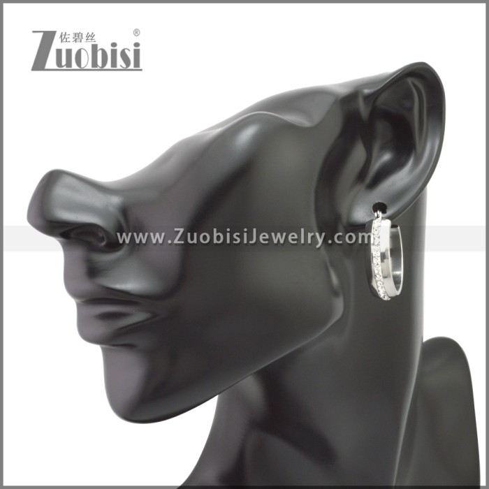 Stainless Steel Earring e002212S