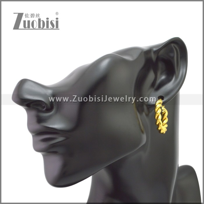 Stainless Steel Earring e002213G
