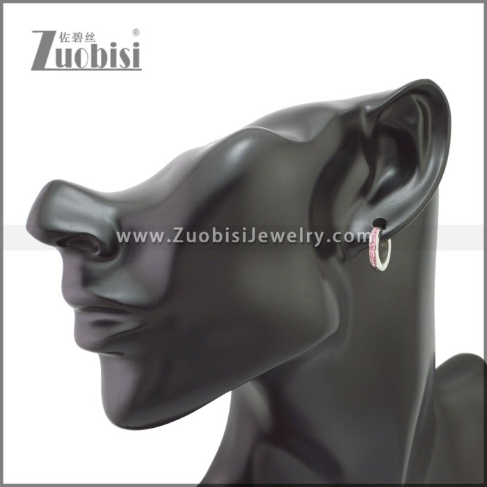 Stainless Steel Earring e002214S3