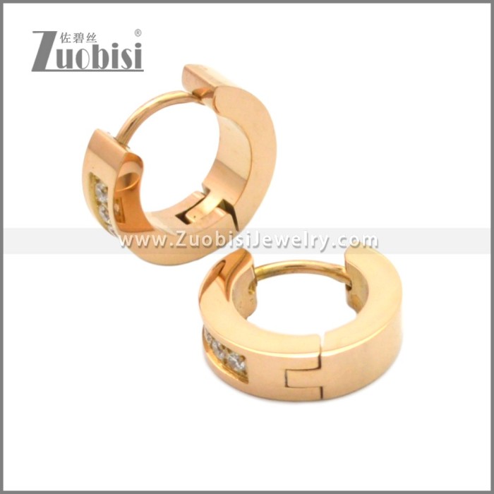 Stainless Steel Earring e002209R