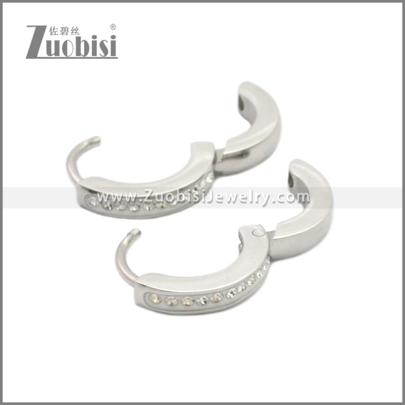 Stainless Steel Earring e002210S