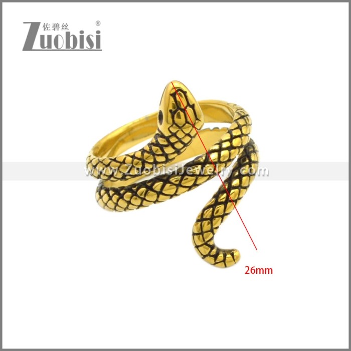 Stainless Steel Ring r008828GA2