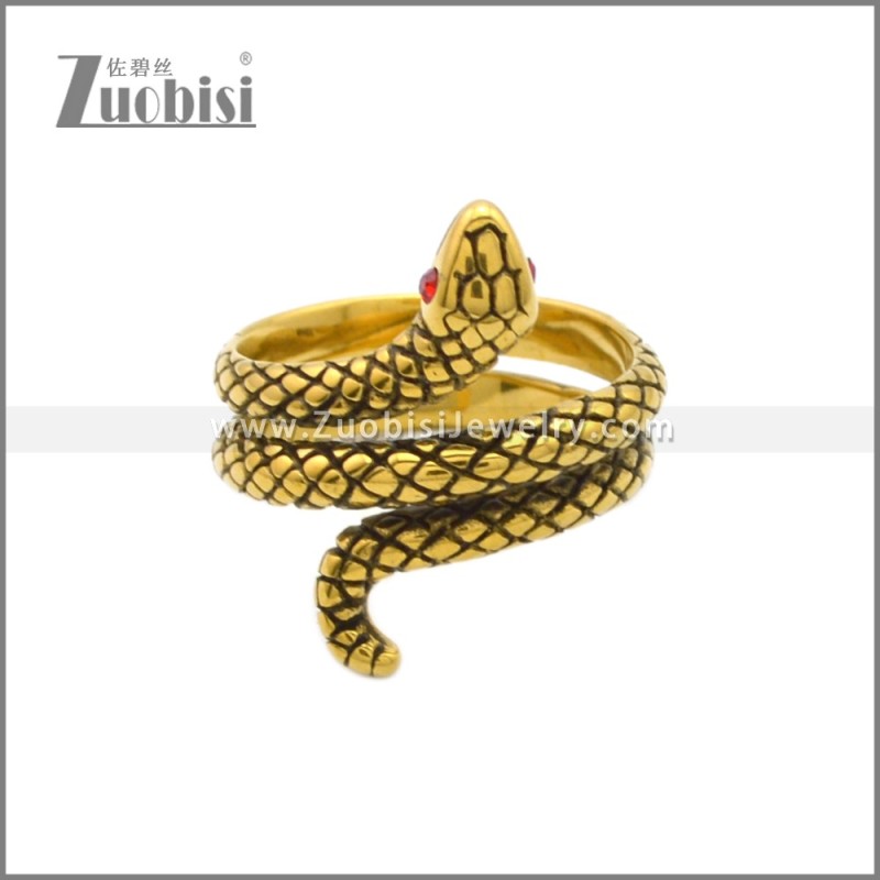 Stainless Steel Ring r008828GA1