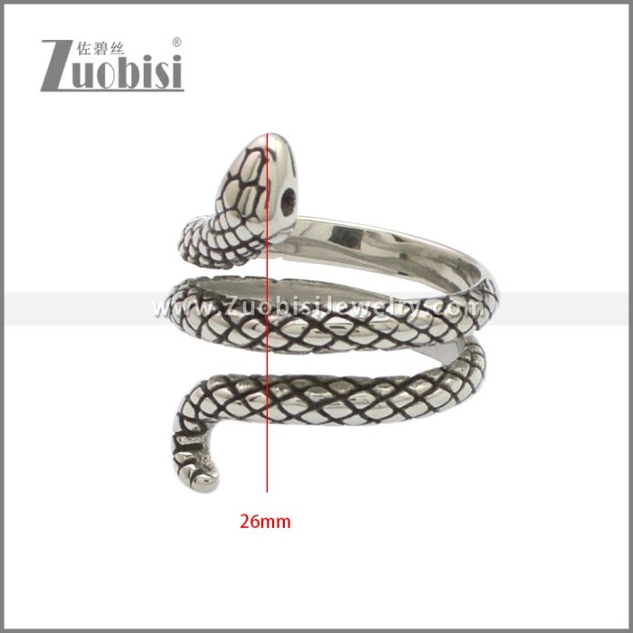Stainless Steel Ring r008828SA1