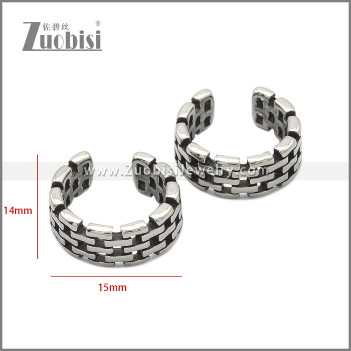 Stainless Steel Earring e002229SA