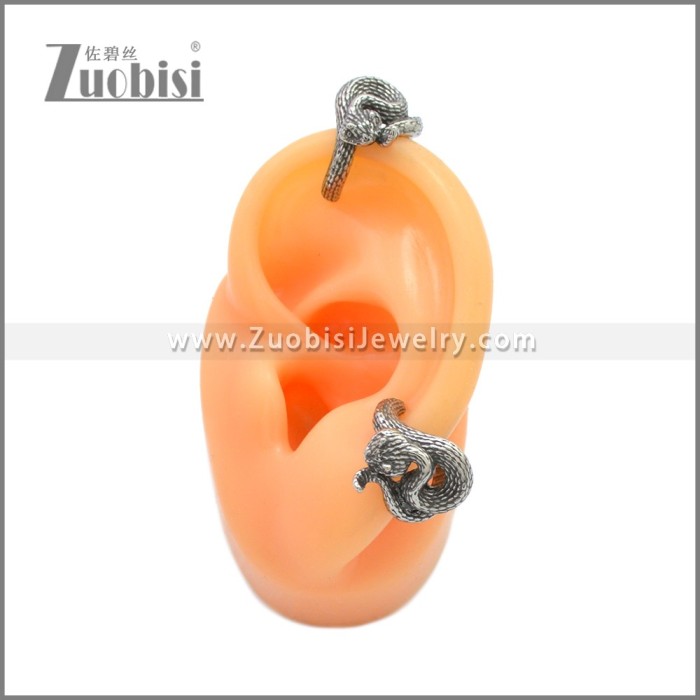 Stainless Steel Earring e002231SA