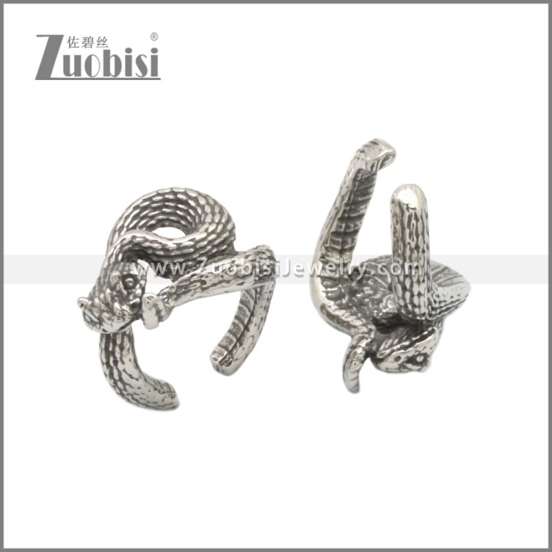 Stainless Steel Earring e002231SA