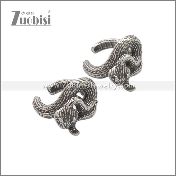 Stainless Steel Earring e002231SA