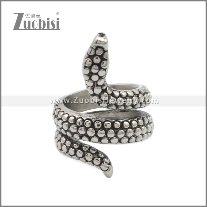 Stainless Steel Ring r008970SA