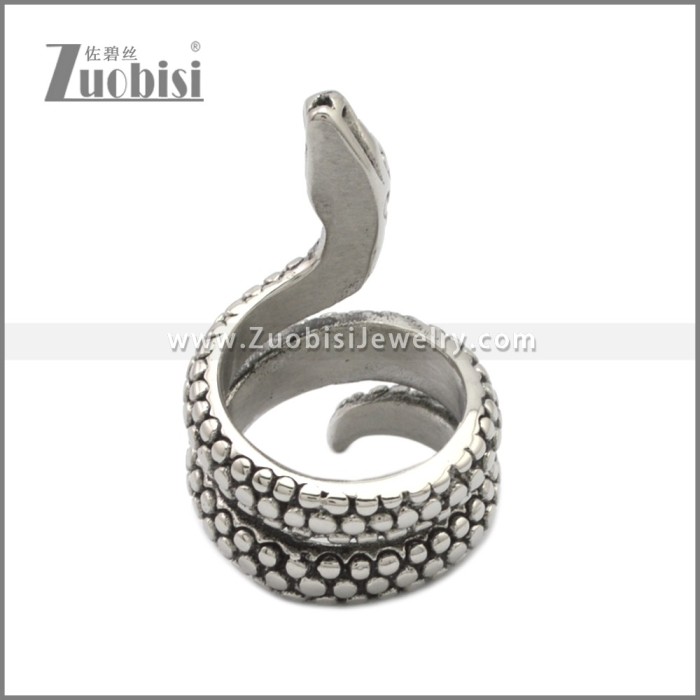 Stainless Steel Ring r008970SA