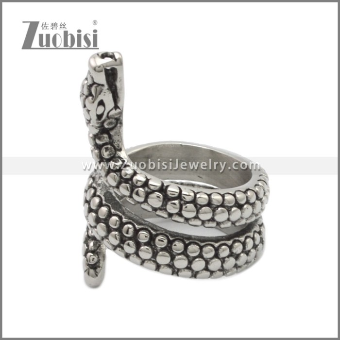 Stainless Steel Ring r008970SA