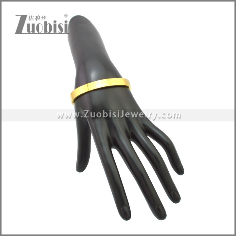 Stainless Steel Bangle b010155G
