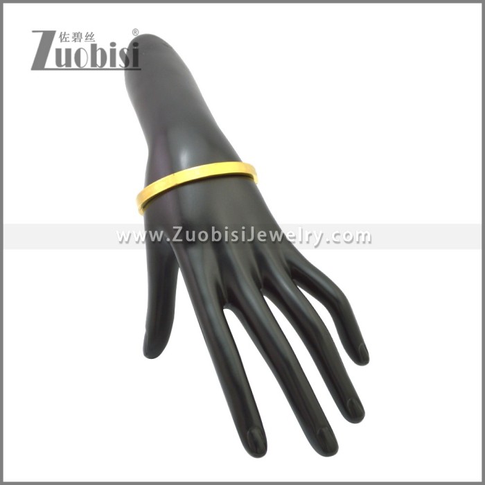 Stainless Steel Bangle b010158G