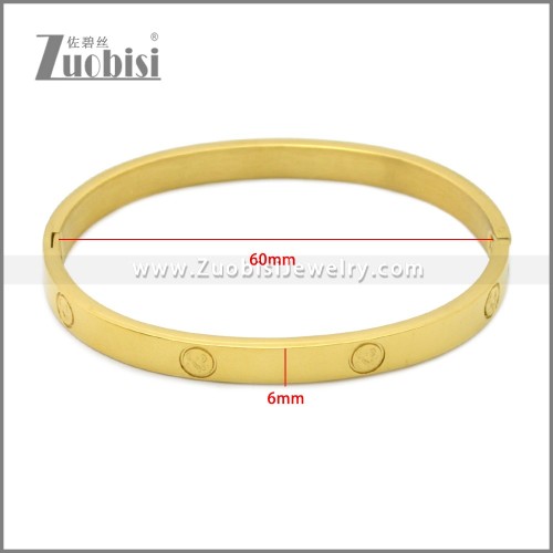Stainless Steel Bangle b010151G