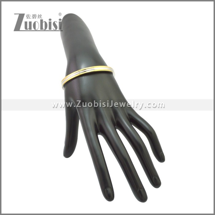 Stainless Steel Bangle b010161S