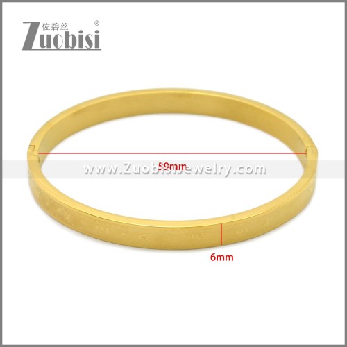 Stainless Steel Bangle b010149G2