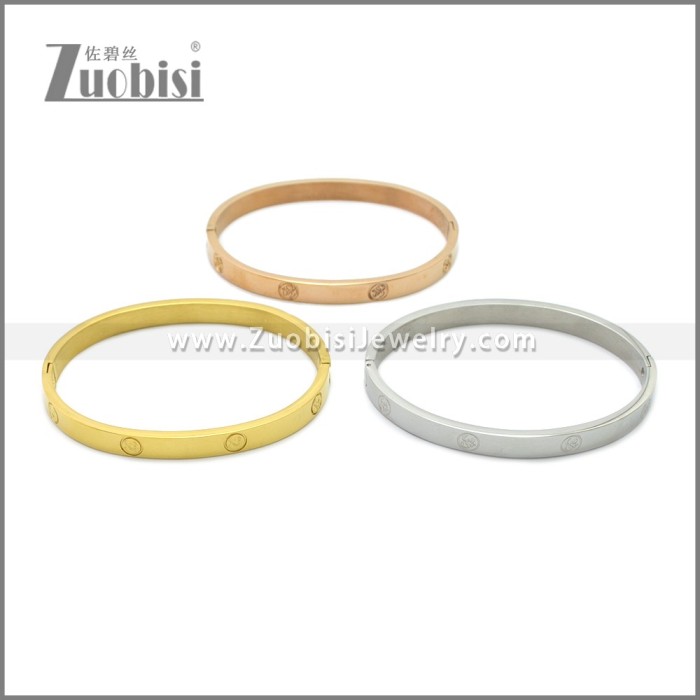 Stainless Steel Bangle b010151G