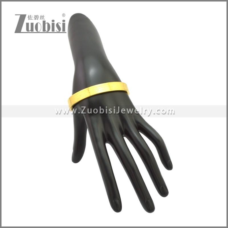 Stainless Steel Bangle b010147G2