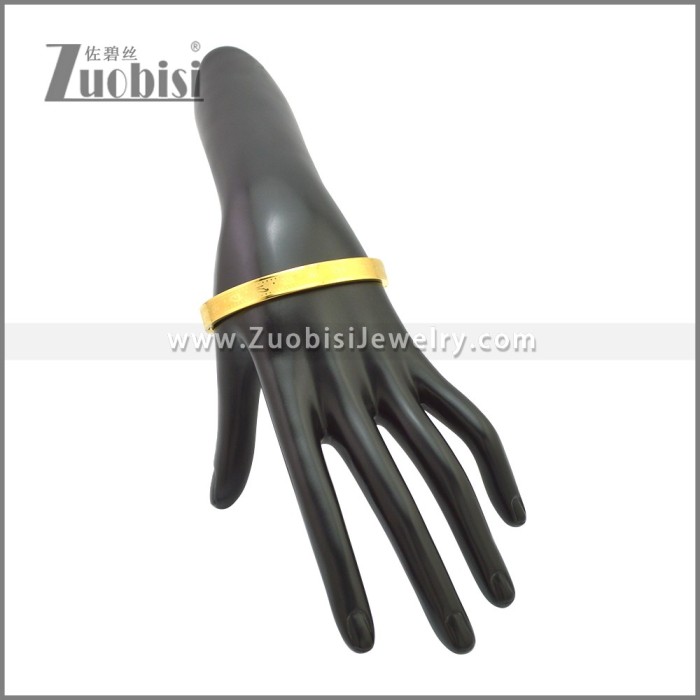 Stainless Steel Bangle b010149G2