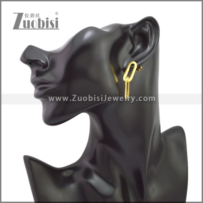 Stainless Steel Earring e002241G