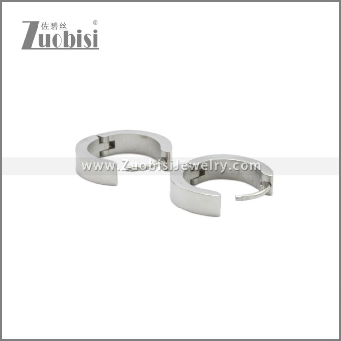 Stainless Steel Earring e002244S