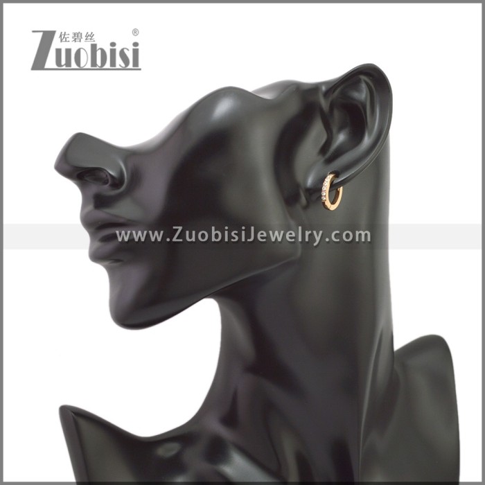 Stainless Steel Earring e002245R