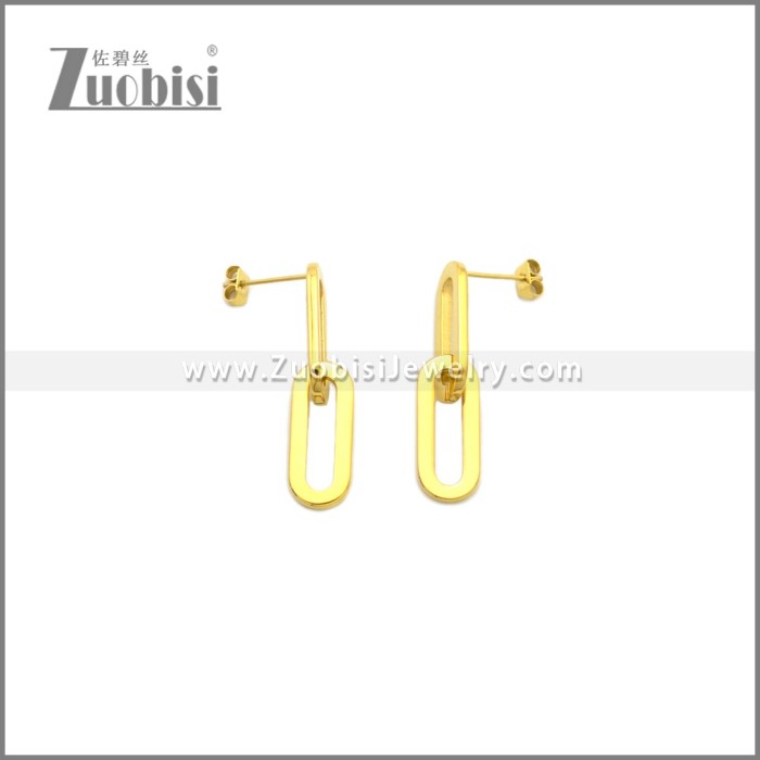 Stainless Steel Earring e002241G
