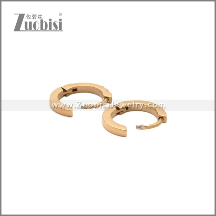 Stainless Steel Earring e002245R