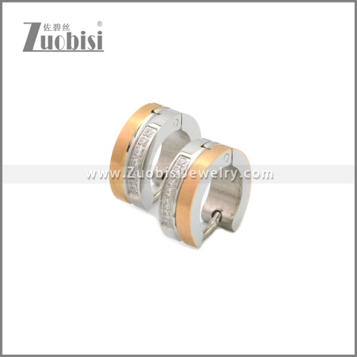 Stainless Steel Earring e002247SR