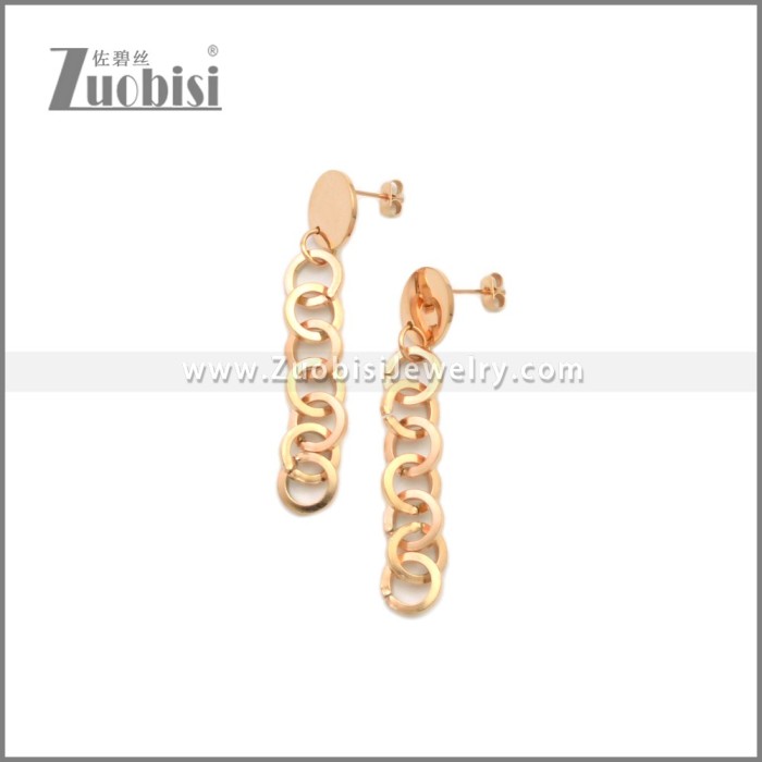 Stainless Steel Earring e002242R