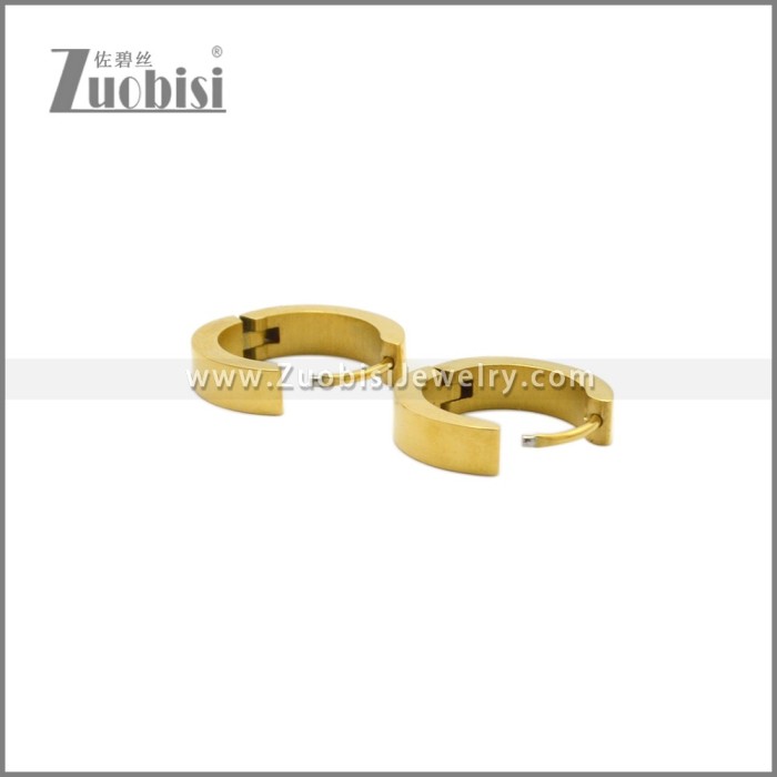 Stainless Steel Earring e002244G