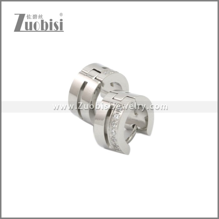 Stainless Steel Earring e002246S