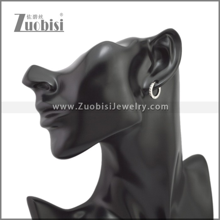 Stainless Steel Earring e002245S