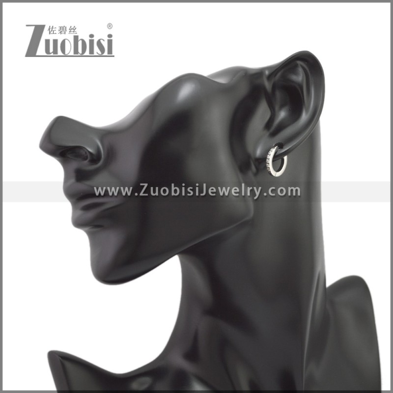 Stainless Steel Earring e002245S