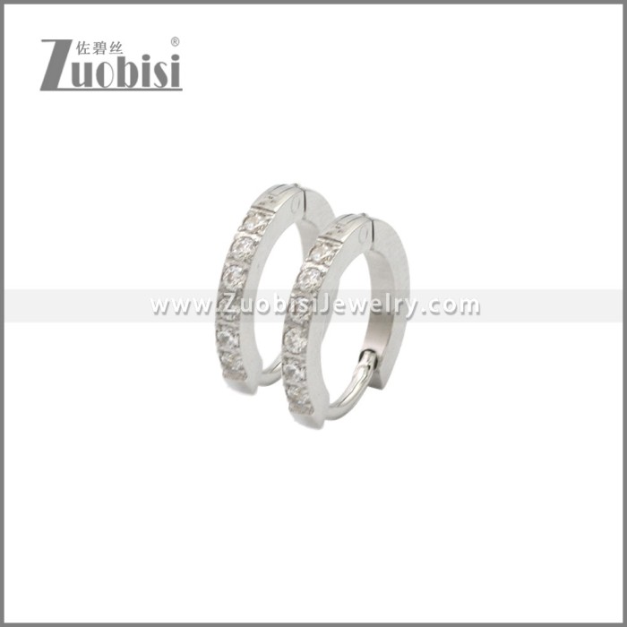 Stainless Steel Earring e002245S