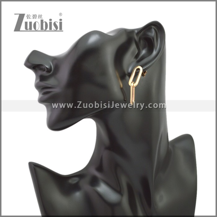 Stainless Steel Earring e002241R